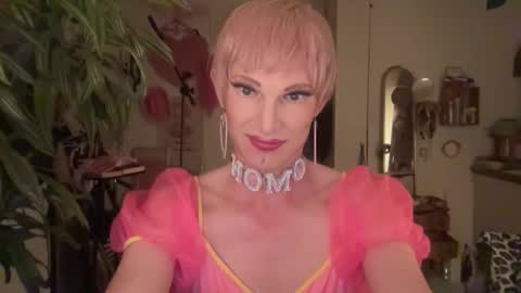 pinkfag online show from 04/20/26, 07:04