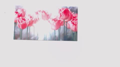 pinky_f00x online show from 03/28/26, 07:57