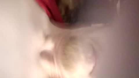 pinkytinky4 online show from 12/17/25, 01:11