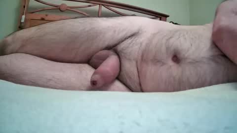 pintfiller online show from 04/21/26, 06:23