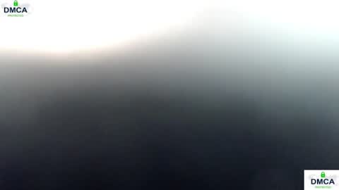 Bella online show from 07/14/26, 04:39
