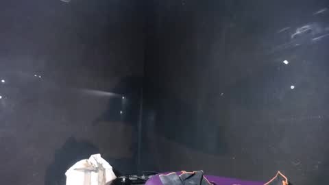 pirata_privado online show from 12/05/25, 10:35