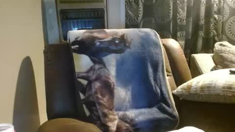 pirate334 online show from 01/18/26, 04:38