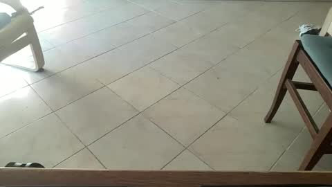 Snapshot of pisellone_xxl chatting on 09/19/25, 01:01 pisellone_xxl online show from 09/19/25, 01:01