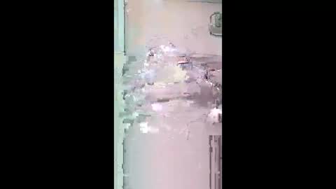 pitoloko73 online show from 04/05/26, 09:39