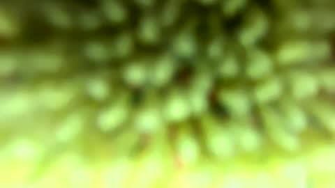 Mike online show from 02/04/26, 09:09