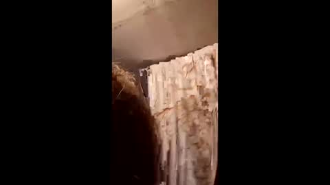 Snapshot of pizzedwife chatting on 02/04/26, 07:09 pizzedwife online show from 02/04/26, 07:09