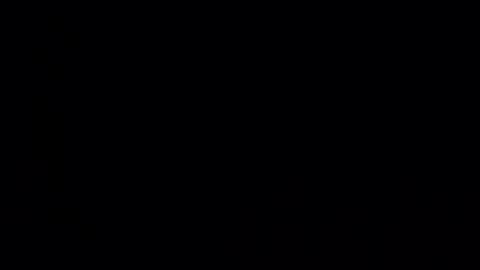 pjp34 online show from 04/22/26, 09:27