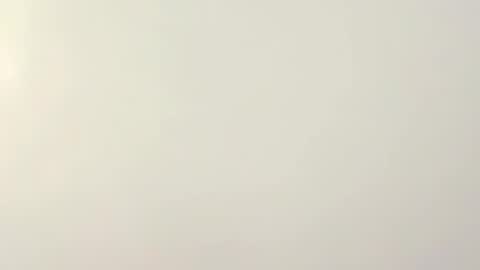 PeggedBiGuy online show from 02/12/26, 08:53