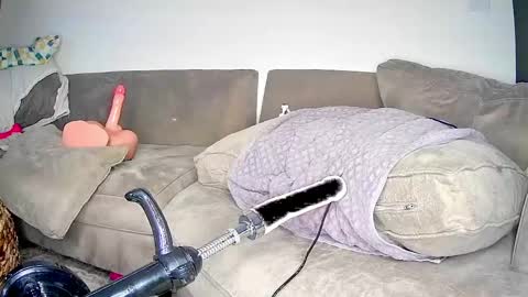 PeggedBiGuy online show from 04/25/26, 09:23