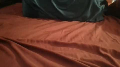 Plague Cockter online show from 02/24/26, 05:49