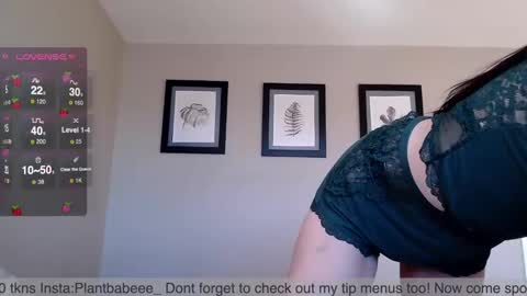 Snapshot of plantbabeee chatting on 12/02/24, 07:16 Plantbabeee online show from 12/02/24, 07:16