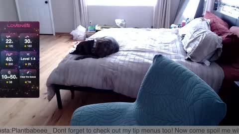 Snapshot of plantbabeee chatting on 02/26/25, 06:00 Plantbabeee online show from 02/26/25, 06:00