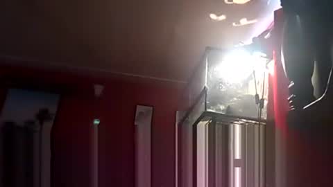 Snapshot of playboy5543 chatting on 12/19/24, 06:34 SEX ADDICTION WANNA MEET online show from 12/19/24, 06:34