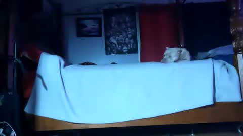 Snapshot of playboy5543 chatting on 01/20/25, 06:10 SEX ADDICTION WANNA MEET online show from 01/20/25, 06:10