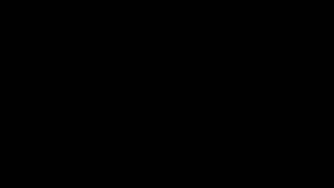 playerboybunny online show from 12/01/25, 09:03