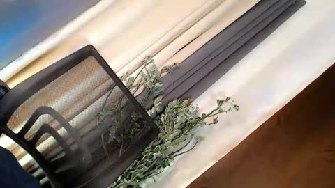 kate online show from 03/21/26, 05:01