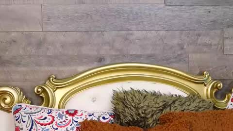 PlayfulSamy online show from 12/12/24, 10:02