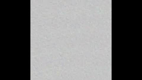 playtoy1969 online show from 02/20/25, 11:31