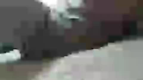 plug768785628 online show from 07/22/26, 09:34