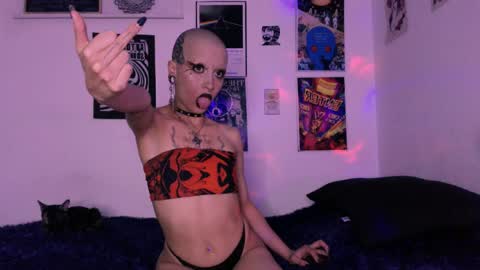    online show from 04/24/26, 02:25