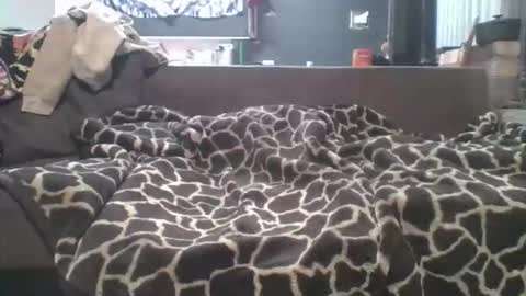 pokerfffface79 online show from 03/27/26, 06:41