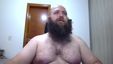 Bear online show from 02/03/25, 03:09