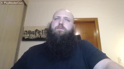 Bear online show from 04/02/26, 11:46