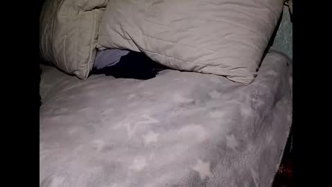 pollachico online show from 11/28/25, 08:06