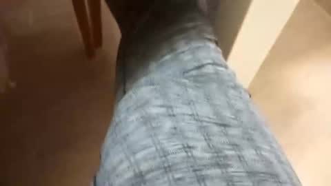 pollonmix online show from 12/04/24, 11:57