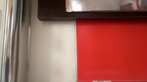 pollonmix online show from 09/11/25, 10:59