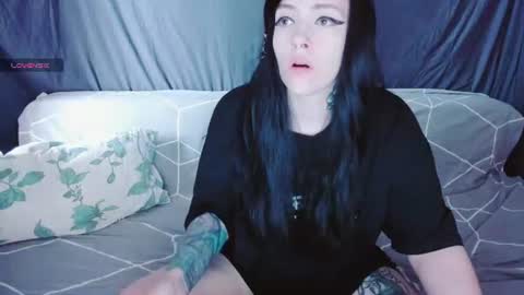 Polly online show from 07/14/26, 12:22