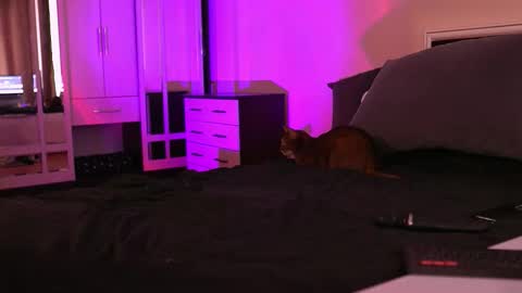 Megan.online  online show from 09/17/25, 01:02