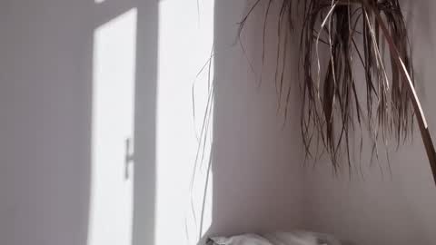 Polina online show from 10/17/25, 06:27