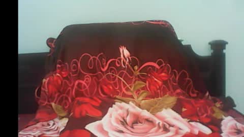 Snapshot of pornojedigoa chatting on 01/04/25, 04:44 Koko Lar online show from 01/04/25, 04:44