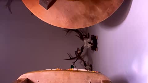 Snapshot of pornstriker chatting on 10/19/25, 04:24 PornStriker online show from 10/19/25, 04:24