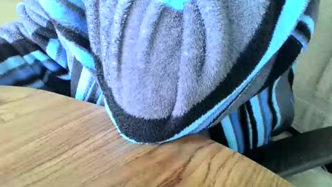 Snapshot of poshman65 chatting on 12/29/24, 11:29 poshman65 online show from 12/29/24, 11:29