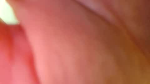 Big Dick online show from 02/26/26, 10:14