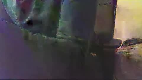 Snapshot of poyote69 chatting on 11/13/25, 03:05 poyote69 online show from 11/13/25, 03:05