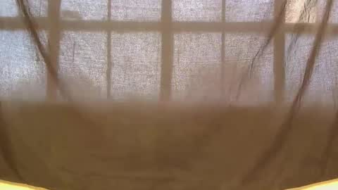 lynn online show from 04/23/26, 12:04