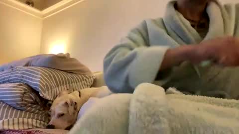 pretty_boy_jack online show from 02/03/25, 02:47