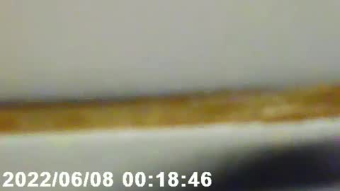 pretty_boy_jack online show from 02/12/25, 02:56