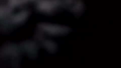 pretty_boy_jack online show from 02/28/25, 10:52