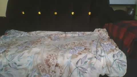 doll online show from 11/19/25, 08:42