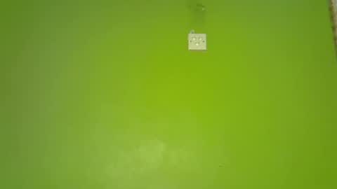 pretty_g2 online show from 12/01/25, 05:01