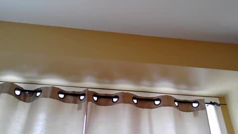 pretty_littletoy online show from 03/05/26, 02:02