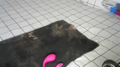 Snapshot of pretty_queennie chatting on 12/22/25, 09:39 Pretty doll online show from 12/22/25, 09:39