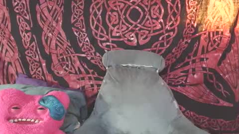 stacy online show from 04/21/26, 06:34