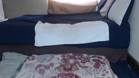 Cindy online show from 04/24/26, 08:50