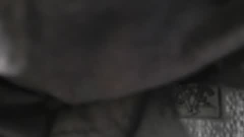 DADDYDICRICO6969 online show from 01/18/26, 10:24